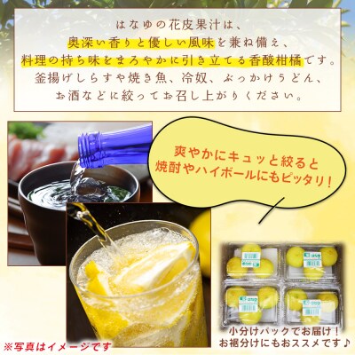 <2026年11月以降順次配送>花柚子 はなゆ黄玉 16パック 国産 柚子 hy-0004