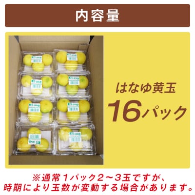 花柚子 はなゆ黄玉 16パック 国産 柚子 hy-0004