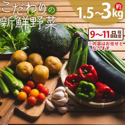 こだわりの新鮮野菜 9品～11品程度 af-0001
