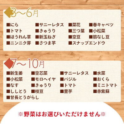 こだわりの新鮮野菜 3回定期 Waf-0003