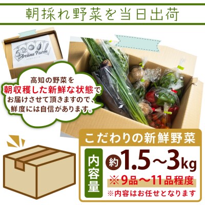 こだわりの新鮮野菜 2回定期 Waf-0002