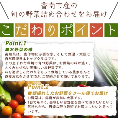 こだわりの新鮮野菜 4回定期 Waf-0004