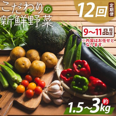 こだわりの新鮮野菜 12回定期 Waf-0006