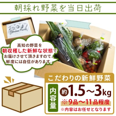 こだわりの新鮮野菜 12回定期 Waf-0006