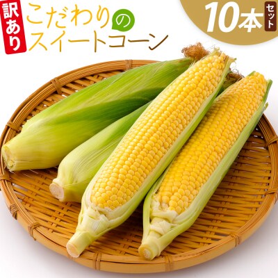 こだわりのスイートコーン 訳あり 10本セット af-0007