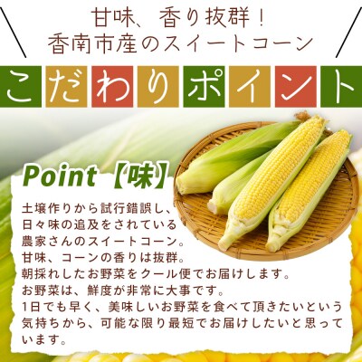 こだわりのスイートコーン 訳あり 10本セット af-0007