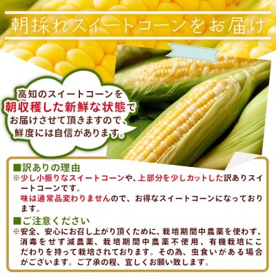 こだわりのスイートコーン 訳あり 10本セット af-0007