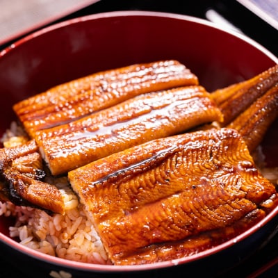 うなぎの蒲焼き 約140g 3尾(高知県産) 計約420g フジ物産 国産 fb-0145