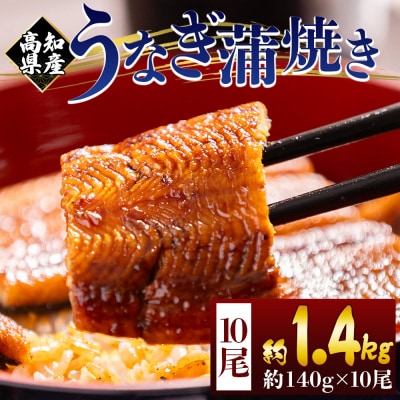 うなぎの蒲焼き 約140g 10尾(高知県産) 計約1.4kg フジ物産 国産 fb-0150