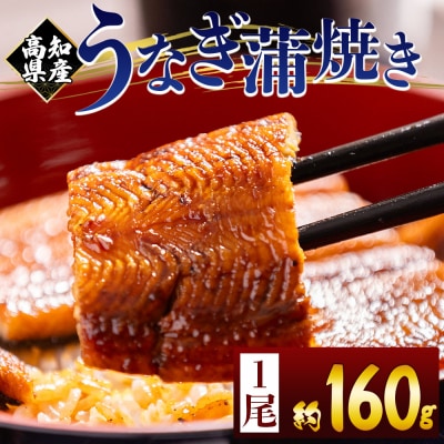 国産うなぎの蒲焼 鰻蒲焼 約160g 1尾(高知県産) 国産うなぎ蒲焼 うなぎ fb-0151