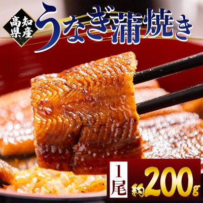 国産うなぎの蒲焼 鰻蒲焼 約200g 1尾(高知県産) 国産うなぎ蒲焼 うなぎ fb-0159