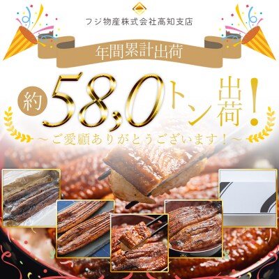 うなぎの蒲焼き 約200g 4尾(高知県産) 計約800g フジ物産 国産 fb-0161