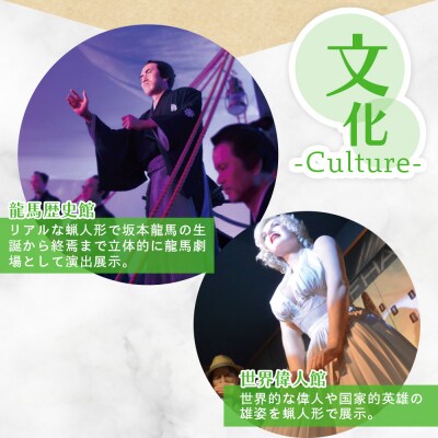 アクトミュージアム1DAYペアチケット ak-0001