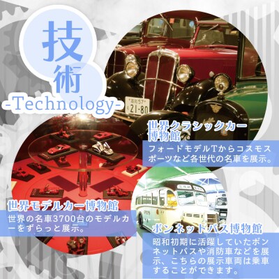 アクトミュージアム1DAYペアチケット ak-0001