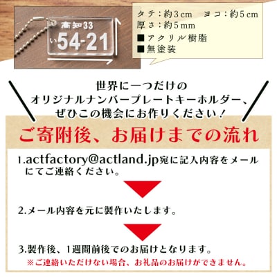 アクリルナンバープレートキーホルダー(2個セット) ak-0013