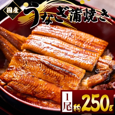 うなぎの蒲焼き 約250g 1尾 国産養殖 ウナギ 鰻蒲焼 fb-0166
