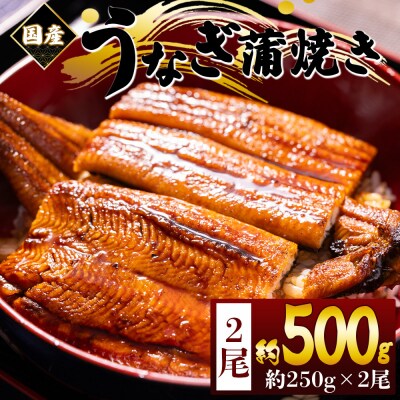 国産うなぎの蒲焼 鰻蒲焼 約250g 2尾 計500g 国産うなぎ蒲焼 うなぎ fb-0167