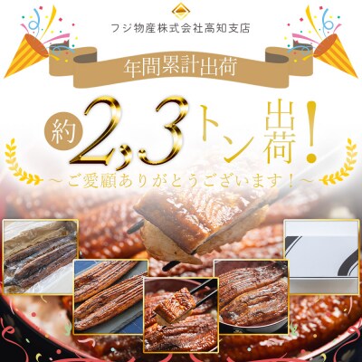 国産うなぎの蒲焼 鰻蒲焼 約250g 2尾 計500g 国産うなぎ蒲焼 うなぎ fb-0167