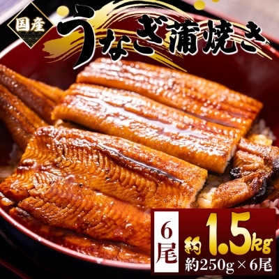 うなぎの蒲焼き 約250g 6尾 計1.5kg 国産養殖 ウナギ 鰻蒲焼 fb-0171