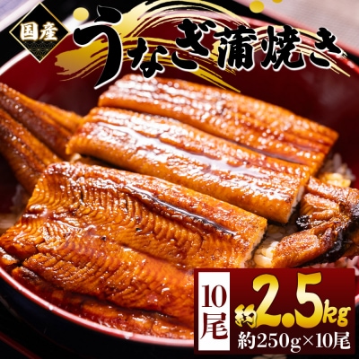 うなぎの蒲焼き 約250g 10尾 計2.5kg 国産養殖 ウナギ 鰻蒲焼 fb-0173