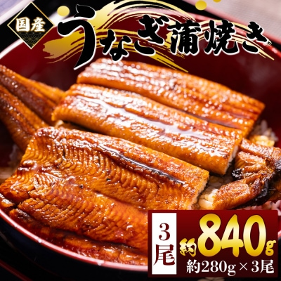 うなぎの蒲焼き 約280g 3尾 計840g 国産養殖 ウナギ 鰻蒲焼 fb-0176
