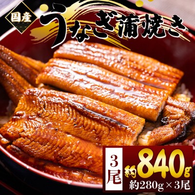 うなぎの蒲焼き 約280g 3尾 計840g 国産養殖 ウナギ 鰻蒲焼 fb-0176