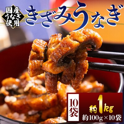 国産きざみうなぎ 刻みうなぎ 100g 10袋 計1kg カットうなぎ fb-0202