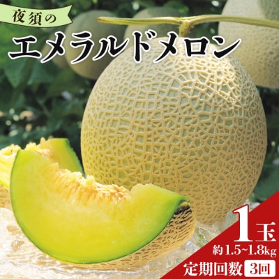 エメラルドメロン 1玉 【3回定期便】 夜須のエメラルドメロン Wyu-0058