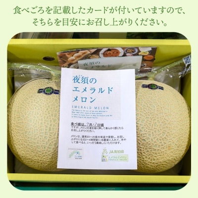 エメラルドメロン 1玉 【6回定期便】 夜須のエメラルドメロン Wyu-0059