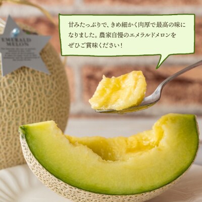 エメラルドメロン 2玉 【3回定期便】 夜須のエメラルドメロン Wyu-0061
