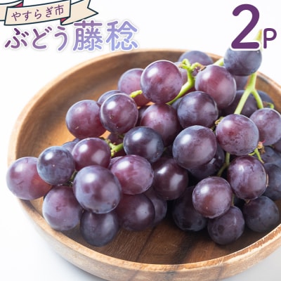 ぶどう 藤稔 2パック yr-0098