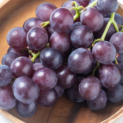 ぶどう 藤稔 2パック yr-0098