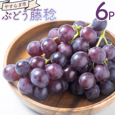 ぶどう 藤稔 6パック yr-0100