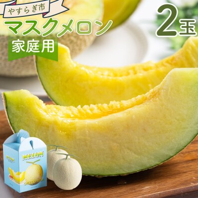 【発送開始】マスクメロン2玉入り 訳あり 家庭用 青肉メロン 青肉 yr-0089