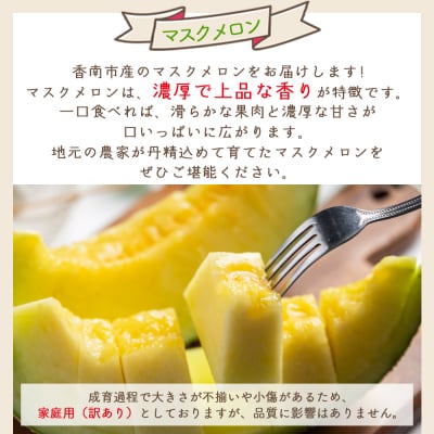 【令和8年3月発送開始】マスクメロン2玉入り 訳あり 家庭用 青肉メロン 青肉 yr-0089