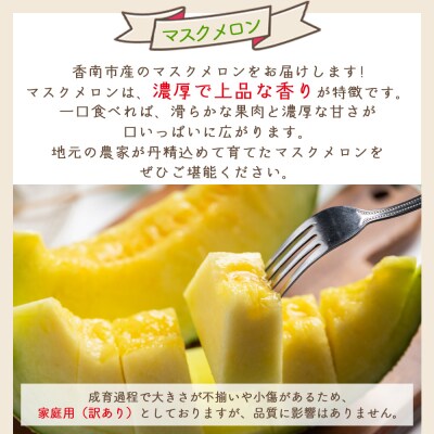 【発送開始】マスクメロン2玉入り 訳あり 家庭用 青肉メロン 青肉 yr-0089