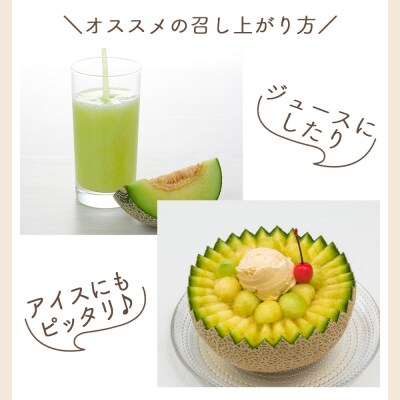 【発送開始】マスクメロン2玉入り 訳あり 家庭用 青肉メロン 青肉 yr-0089