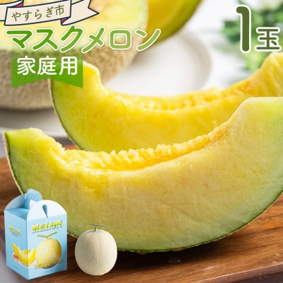 【令和8年3月発送開始】マスクメロン 訳あり 1玉入り 青肉 メロン 家庭用 yr-0088