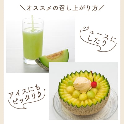 【令和8年3月発送開始】マスクメロン 訳あり 1玉入り 青肉 メロン 家庭用 yr-0088