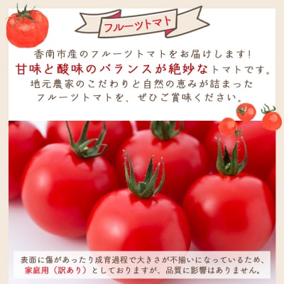 【2026年1月以降発送】フルーツトマト 1kg 家庭用 高知 訳あり トマト yr-0066