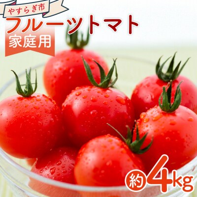 【2026年1月以降発送】フルーツトマト 4kg 家庭用 高知 訳あり トマト yr-0069