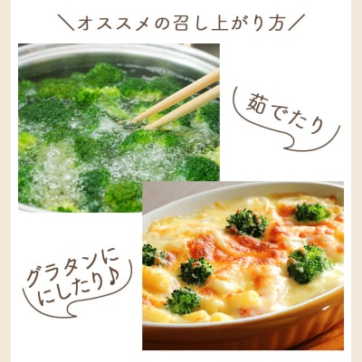 【2025年11月末以降発送】ブロッコリー 2kg 家庭用 yr-0087 