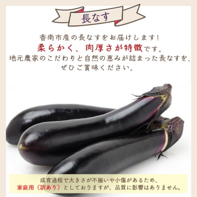 【発送開始】長なす 2kg 家庭用 茄子 yr-0071