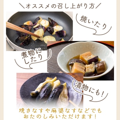 【発送開始】長なす 2kg 家庭用 茄子 yr-0071