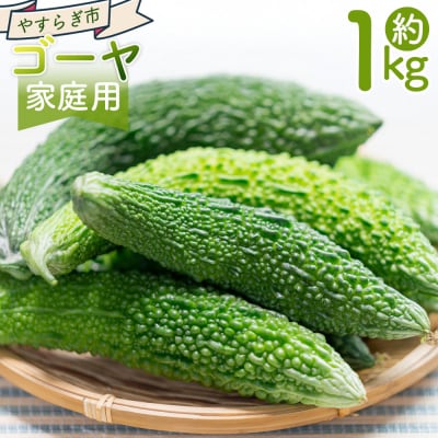 【発送開始】ゴーヤ 1kg 家庭用 野菜 yr-0073