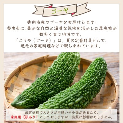 【2026年10月以降発送】ゴーヤ 1kg 家庭用 野菜 yr-0073