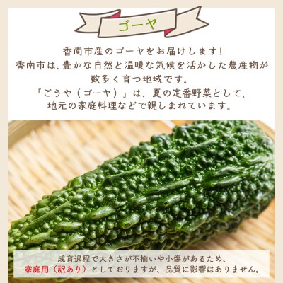 【2026年10月以降発送】ゴーヤ 1kg 家庭用 野菜 yr-0073
