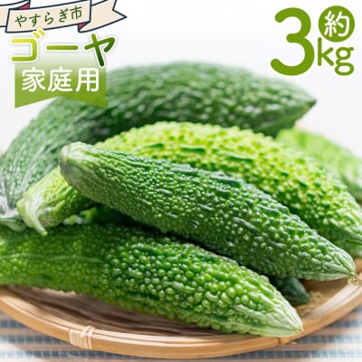 【2026年10月以降順次発送】ゴーヤ 3kg 家庭用 野菜 yr-0075