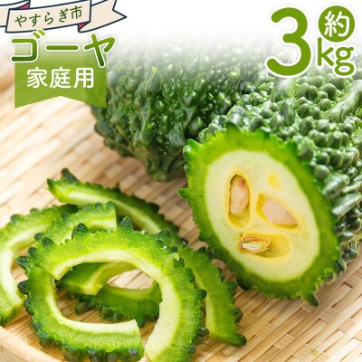 【2026年10月以降順次発送】ゴーヤ 3kg 家庭用 野菜 yr-0075
