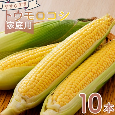 【2026年6月中旬発送開始】とうもろこし 10本 訳あり 家庭用 夏野菜 yr-0076